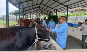 89e5fc9a-a6f7-4528-ad81-e3f858b3e421-1 (1)