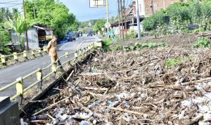 d5c1bdb8-29ed-4c68-a5e8-1b5ac2f8614e-1 (2)